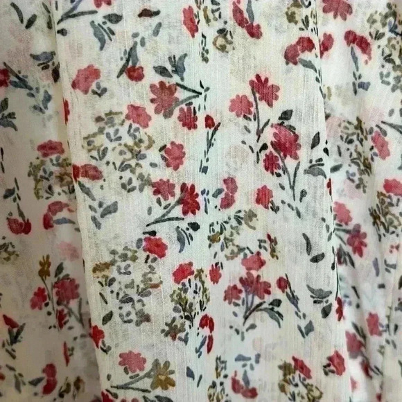 DR2 Sheer Long Maxi Flowered Dress (Size Small) - Picture 5 of 11